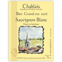 Sauvignon Blanc 2019 (75cl.)