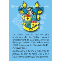 Famille Goy 1