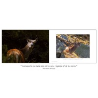 Livre photos (Autour de la Montagne)