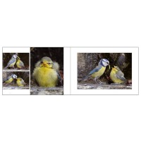 Livre photos (Carnets de balades )