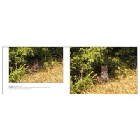 Livre photos (Carnets de balades )