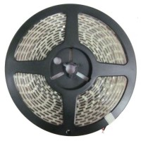 FlexLED 12V - SMD3528 - 120 Led/m - 30W - (Rouleau 5m)